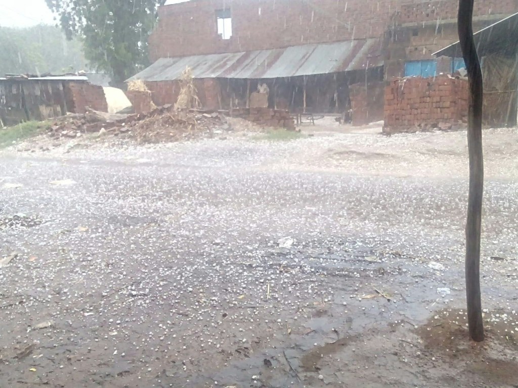 मौसम ने खाया पलटा, कुठौंद में भारी ओला&nbsp;बारिश