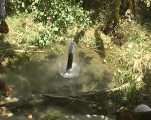 vlcsnap-2016-04-25-19h45m32s91