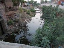 09orai05