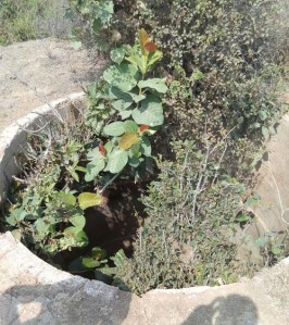 10orai04