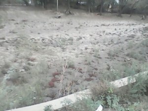 13orai08