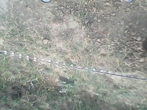22orai18