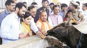 शिवपाल को 10 मिनट की मुलाकात में योगी आदित्यनाथ से क्या हो पाया&nbsp;हासिल