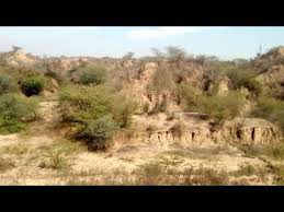 चंबल, नई पौ की चौंधियाने वाली&nbsp;उजास