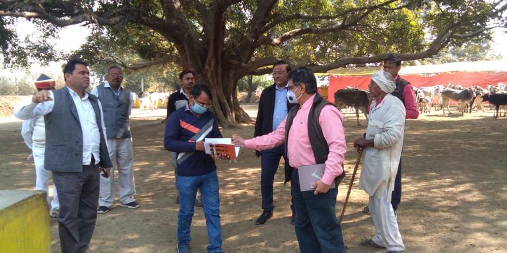 जैविक खेती के मजे निराले, चमकदार और पौष्टिक उपज का देते&nbsp;वरदान