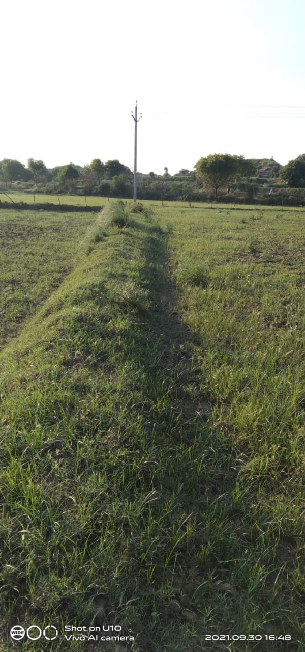 मनरेगा में घोटाले पर प्रधान पर वसूली की लटकी&nbsp;तलवार