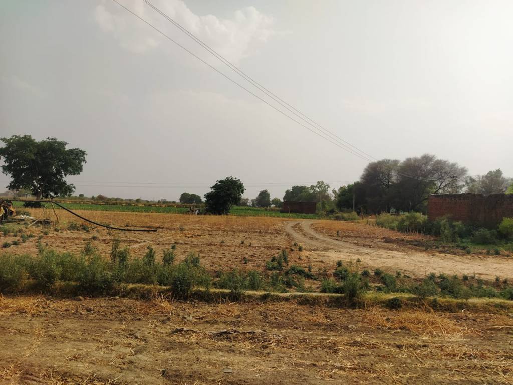 लेखपाल का कारनामा,एक शिकायत की दो-दो आख्या&nbsp;रिपोर्ट