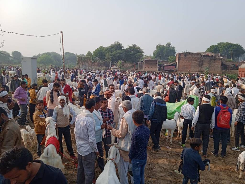 कार्तिक मेले पर पचनद में हजारों लोगों ने किया पुण्य&nbsp;स्नान