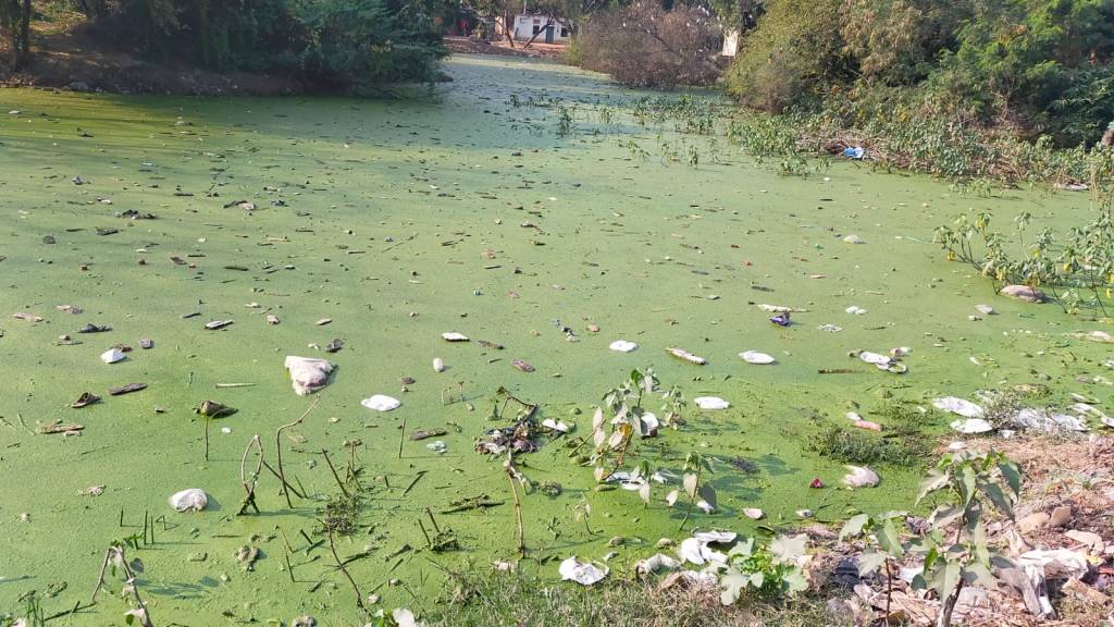 गंदगी व काई  से पटा पुराना तालाब , अब हुईं प्रशासन की नजरें&nbsp;इनायत