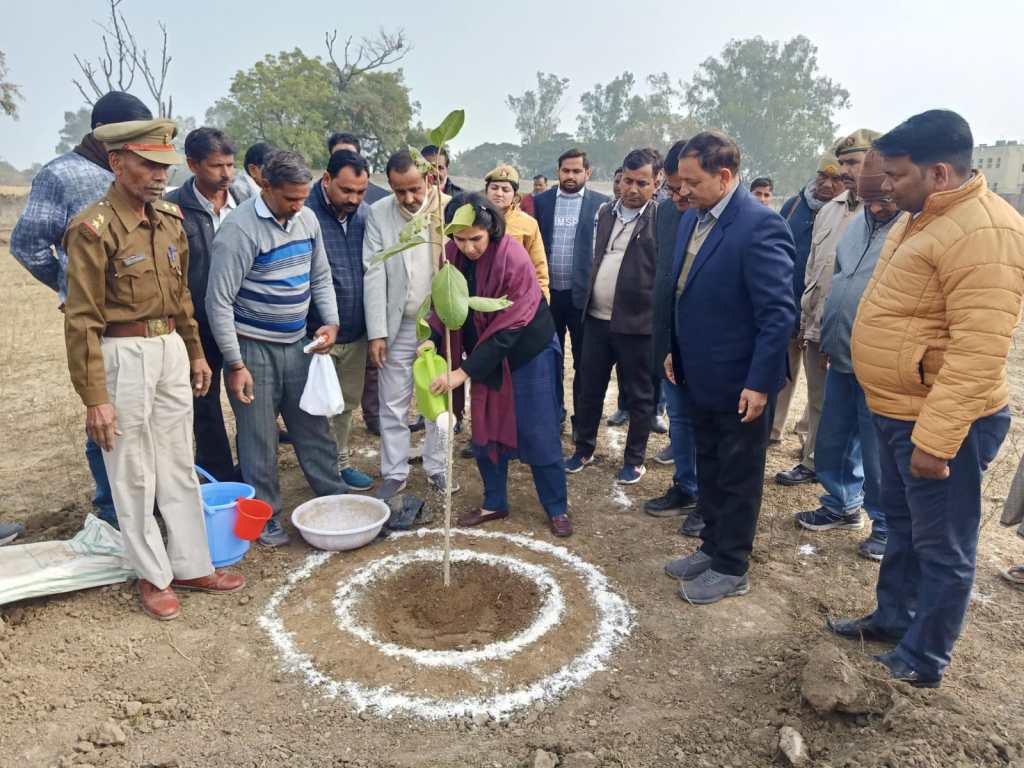 कामयाब हो रहा सडकों से सुरक्षित आश्रय स्थलों में पहुंचाने का जिलाधिकारी का अभियान , गौशालायें भरी, आनन फानन इकलासपुरा में खोली गयी एक और अस्थाई नई&nbsp;गौशाला