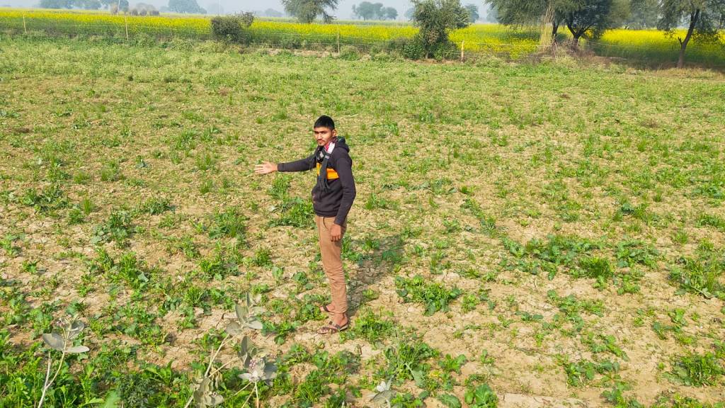 गौशाला निर्माण से बधी किसानों की उम्मीदो को काम में काहिली ने दिया&nbsp;झटका