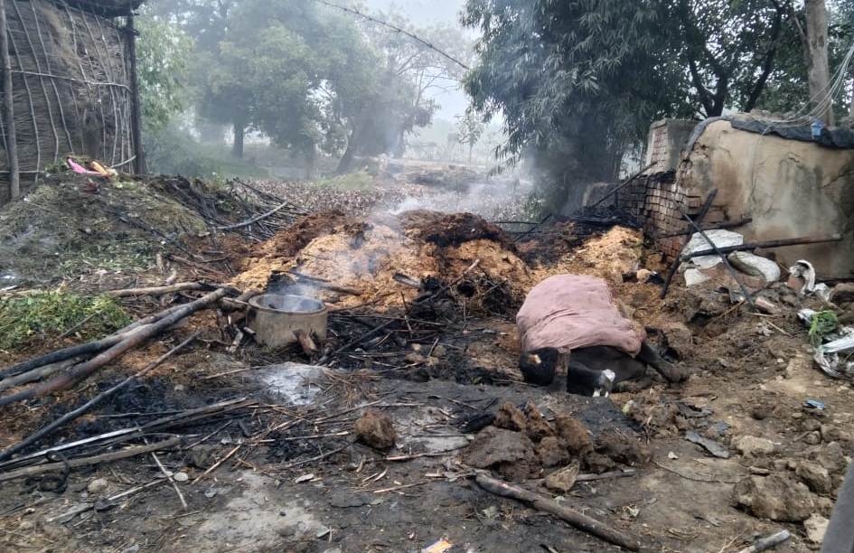 आग से गोशाला में बंद 4 मवेशियों की&nbsp;मौत