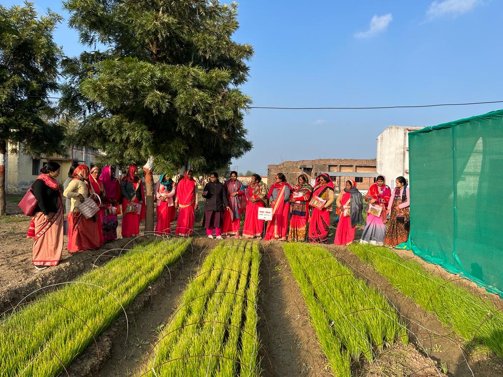 मोटे अनाज के आहार के बारे में आंगनवाडी कार्यकत्रियों का&nbsp;प्रशिक्षण