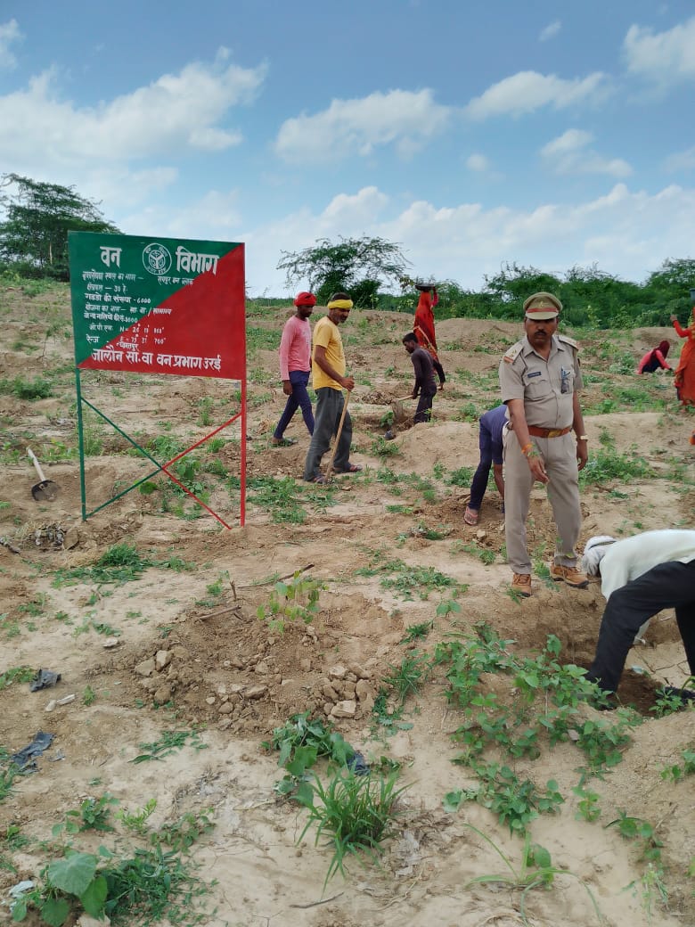 न्यामतपुर वन रेंज में 90 हजार पौधों का&nbsp;रोपण