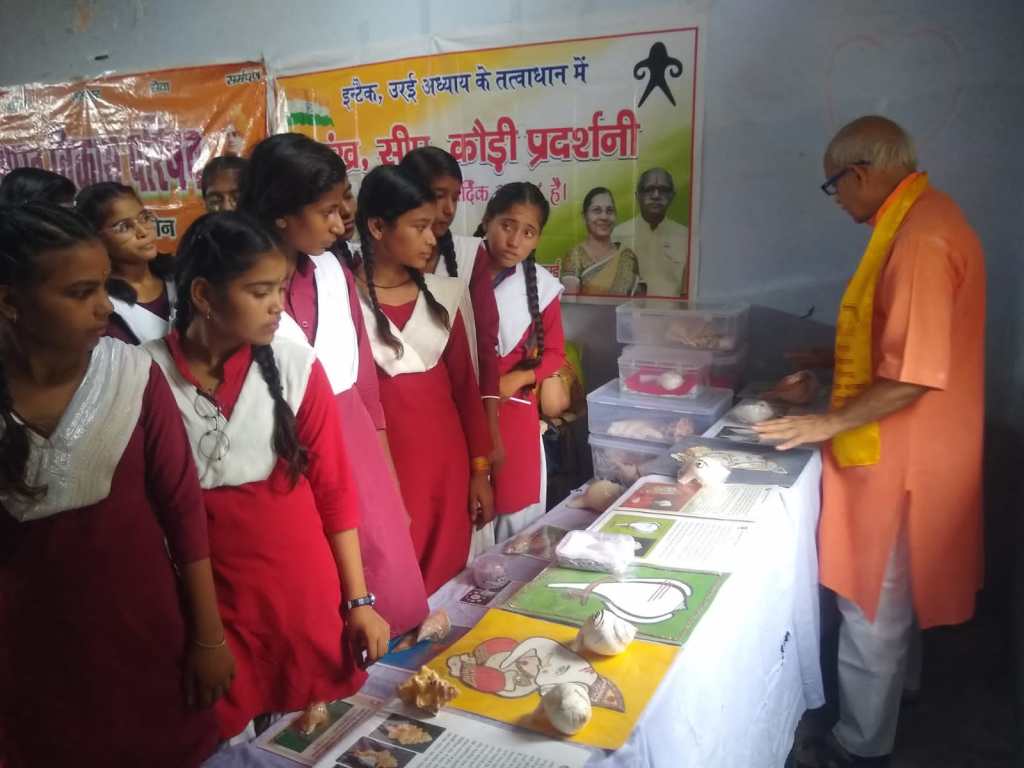 अद्भुत विलक्षण शंखों का प्रदर्शन&nbsp;हुआ