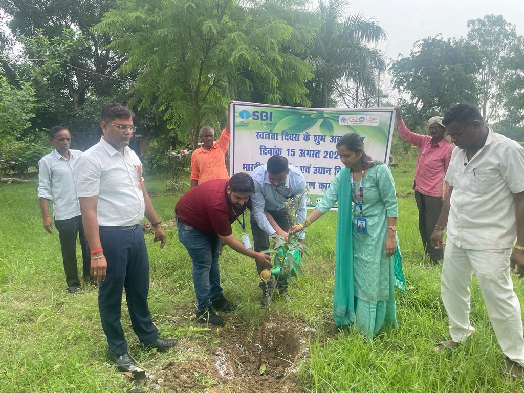 स्टेट बैंक के सौजन्य से वन्य नर्सरियों में&nbsp;पौधरोपण