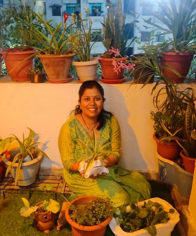 घरेलू कचरा से कई प्रकार के पेड़ पौधे को जैविक खाद से किया तैयार, मेडिकल कालेज में तैनात स्टॉफ नर्स वर्षा सिंह ने पेड़ पौधे से बालकनी को सजाया