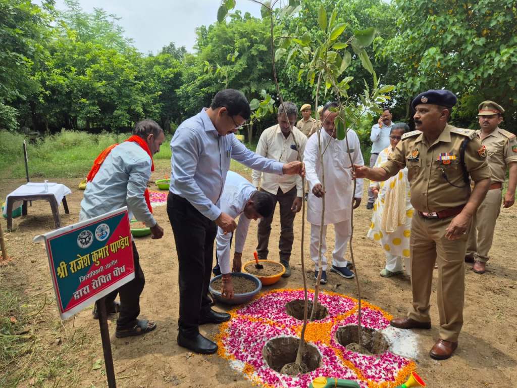 एक पेड़ मां के नाम” अभियान के तहत डीएम, एस पी  ने किया हरिशंकरी&nbsp;पौधरोपण*