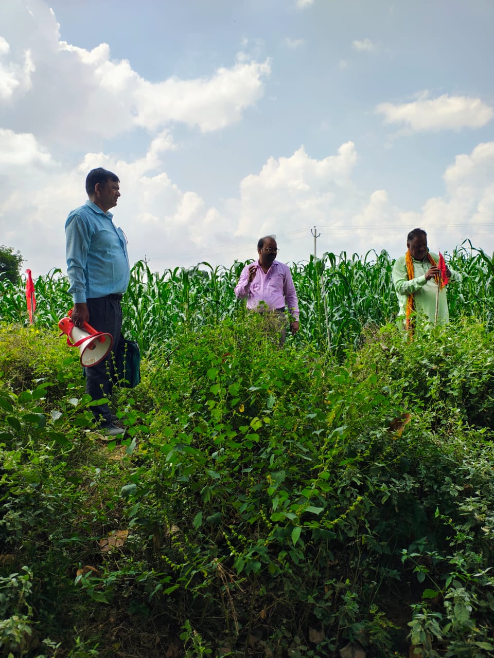 बैंक का कर्ज़ न चुकाने पर तीन भाइयों की पैतृक संपत्ति&nbsp;कुर्क