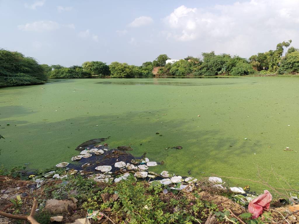 काई से पटा तालाब, बच्चों को दे रहा बीमारियों की&nbsp;सौगात