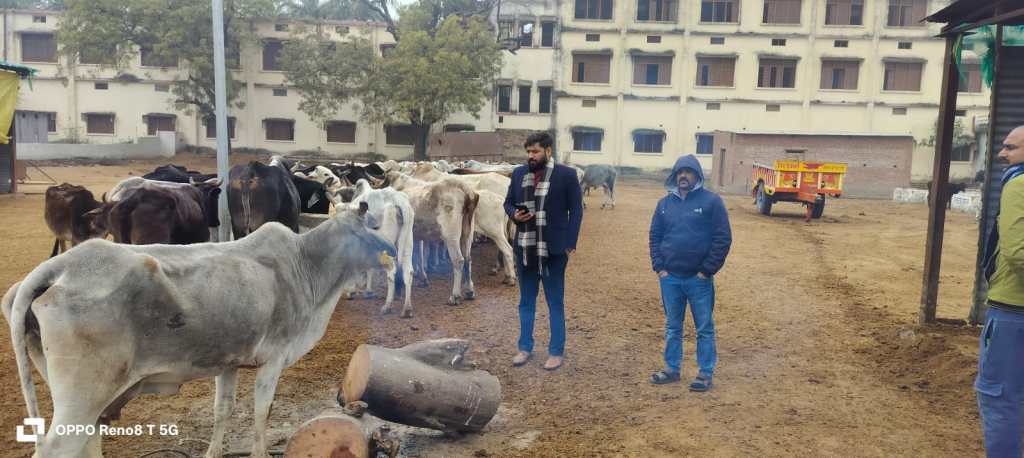 नदीगांव ब्लॉक के ग्राम तीतरा खलीपुर में गौशाला का&nbsp;निरीक्षण