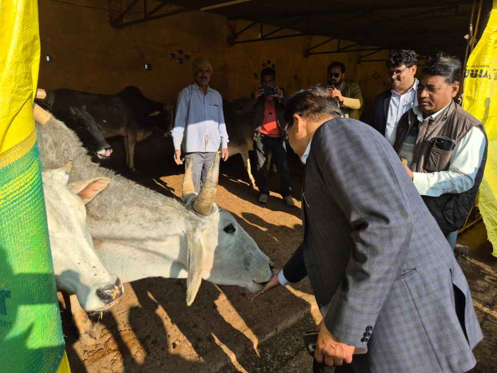 कदौरा में डीएम का निरीक्षण, योजनाओं की प्रगति परखी, गौशाला में व्यवस्थाओं का लिया&nbsp;जायजा