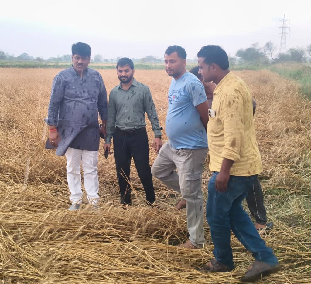 आसमान से बरसी आफत: ओलावृष्टि ने तोड़ी अन्नदाता की कमर, खेतों में बर्बादी का मंजर