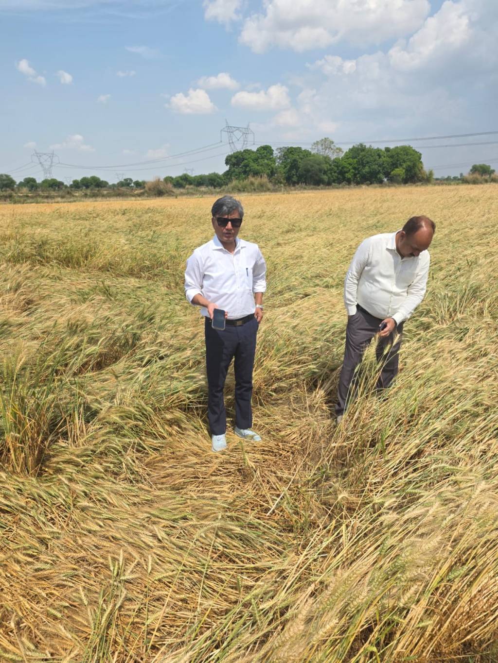 ओलावृष्टि पर प्रशासन अलर्ट: सीडीओ के नेतृत्व में युद्धस्तर पर सर्वे, गांव-गांव पहुंची टीम