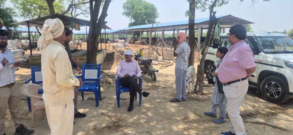 भीषण गर्मी में गोवंशों की चिंता: डीएम ने गौशाला पहुंचकर परखी व्यवस्थाएं, दिए जरूरी&nbsp;निर्देश
