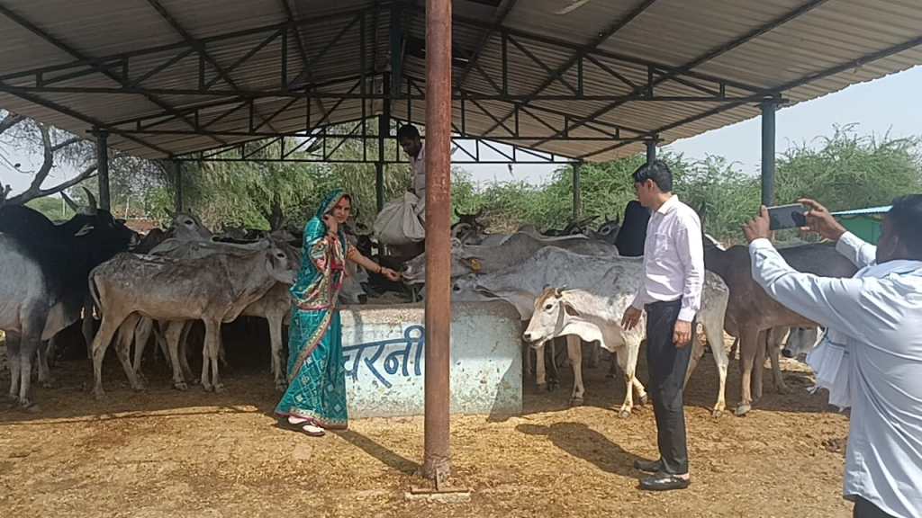 अकबरपुर में गौ सेवा का संदेश: महिला समूह ने कराया घास वितरण, पशुओं के प्रति संवेदनशीलता पर&nbsp;जोर